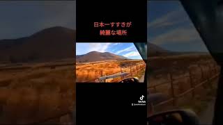 阿蘇の日本一美しいすすき#shorts #drive