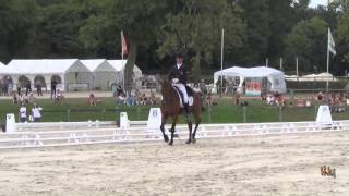 HorseJunkiesUnited.com -  Mark Todd on Leonidas II Dressage Haras du Pin