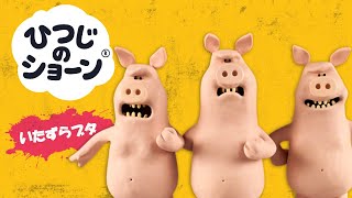 ひつじのショーン　キャラクター紹介動画⑦いたずらブタ【Meet the Characters: Naughty Pigs】