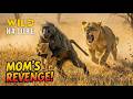 Win or Die (FULL EPISODE) | Deadliest Battles for Survival | Animal documentary