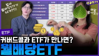 🗓️ 월배당ETF 63개 총정리 해봤어요ㅣETF