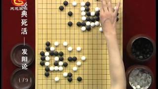 方天丰围棋经典死活：发阳论79