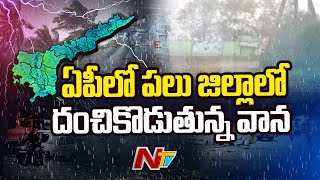 ఏపీలో పలు జిల్లాలో దంచికొడుతున్న వాన | Heavy Rain In AP | Ntv