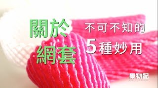 5種不可不知的「水果網套」妙用！