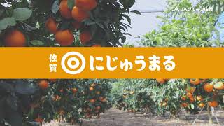 ＪＡグループ佐賀　にじゅうまるＰＲ動画（紹介編）