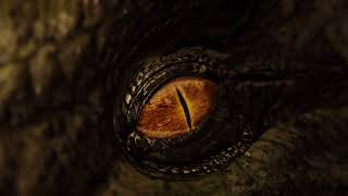 Dinosaur Eye