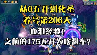 梦幻西游：从零五开到化圣的206天，血泪经验，175五开翻车之谜