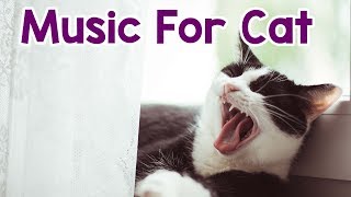 15 Hour Cat Music! Aggressive Cat Music! Clam My Aggressive Cat!