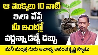 ఆ మొక్కలు 10నాటి ఇలా చేస్తే ఇంట్లో వద్దన్నా డబ్బే డబ్బు | Anantha Krishna Swamy Money Mantra