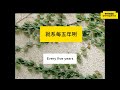 粤语香港气候行动蓝图2030 。2017年公布了什么香港的碳中和目标是什么？中英对照 youtube 3258158919