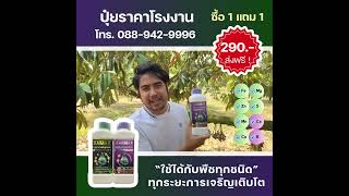 คุณสมบัติของปุ๋ยเสริมธาตุอาหารที่จำเป็นในพืช 💚💜 VAMAX + CABMAX