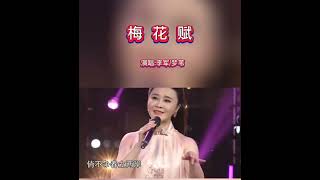 《梅花赋》 李军，梦苇演唱