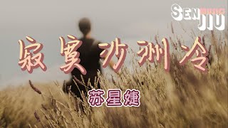 苏星婕- 寂寞沙洲冷『当记忆的线缠绕过往支离破碎，是慌乱占据了心扉 有花儿伴着蝴蝶孤雁可以双飞夜深人静独徘徊。』【動態歌詞Lyrics】2022 热门歌曲 | 2022 新歌推送 | 抖音十大热门歌曲