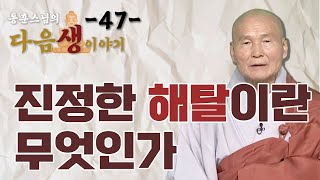 진정한 해탈이란 무엇인가  - 동훈스님 다음생이야기 47회