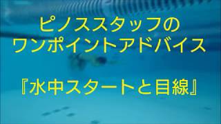 三井スイムアドバイス№１７「水中スタートと目線」