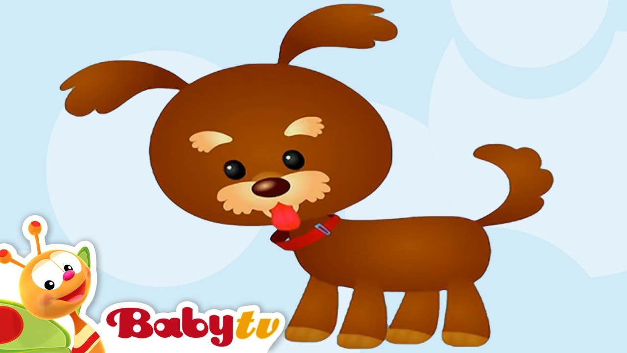 Dog 🐶 Animal Sounds And Names For Kids & Toddlers @BabyTV - YouTube