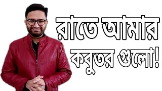 রা‌তে আমার কবুতর গু‌লো!