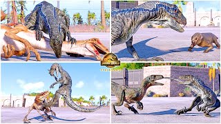 Blue, Echo & Other Velociraptors All Perfect Animations & Interactions 🦖 Jurassic World Evolution 2