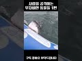 사람을 공격하는 무자비한 동물들 1편 동물 공격 animal attack