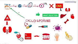 Immunosuppressants PART - 2 | Calcineurin INHIBITORS | CYCLOSPORINE | TACROLIMUS