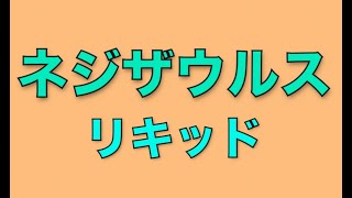 『錆が落ちる泡』ネジザウルス・リキッドは本当に効果あるのか！？