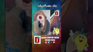 సక్కిలిగింతల చేప#ticklefish #facts #factsdialy#trendingshorts #fishes #factstelugu || DHOOTHA MEDIA