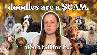 The Doodle Problem | Was Your Dog Unethically Bred?