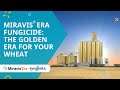 Miravis® Era fungicide: The golden era for your wheat