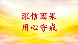 卢台长【深信因果 用心守戒】 2014年11月27日 白话佛法广播讲座 节选