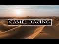 CAMEL RACING | Abu Dhabi