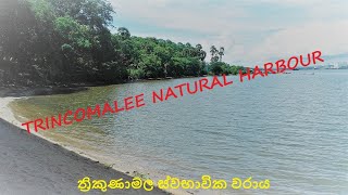 ත්‍රිකුණාමල ස්වභාවික වරාය| Trincomalee Natural Harbour| திருகோணமலை துறைமுகம்