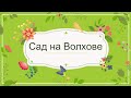 Флокс Птица Сирин 🌺 обзор описание цветение отзыв