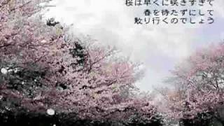 【初音ミク】桜歌(さくらうた)【オリジナル曲】