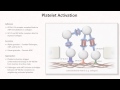 Hemostasis Lesson 2 - Platelet Activation and Aggregation