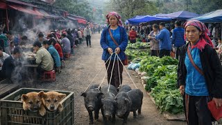 CHỢ TÂY BẮC - LÙNG PHÌNH (lào cai) | Văn Hóa Ẩm Thực , Lợn Cắp Nách Và Thảo Dược Quý Hiếm