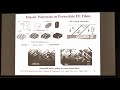 J  Ouyang – Self Assembled Polydomain Structures and Domain Engineering in Epitaxial BaZr, TiO3 Th