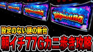 新台【トロピカーナ】設定のない謎台を朝イチ77Gカニ歩き攻略。[パチンコ・パチスロ]