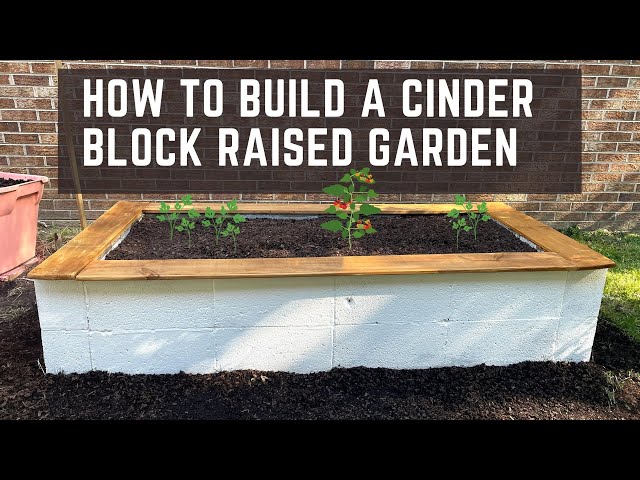 Diy Raised Garden Bed With Cinder Blocks Infoupdate Org