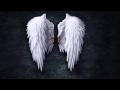 FALLING ANGEL TRAILER