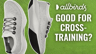 Allbirds Tree Dashers Review | Testing the FIRST Performance Model