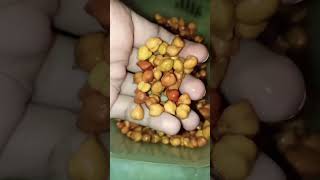 Chana helpful for skin glow✨/#diet #breakfast #bestforskin #indianstreetfood #ytshort #like