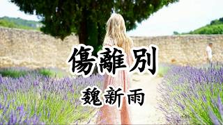 傷離別 - 魏新雨【2019新歌首發】