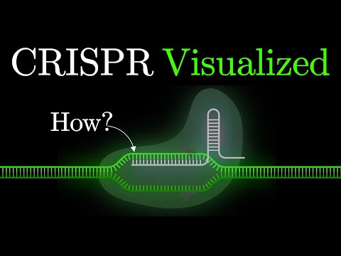But what is CRISPR-Cas9? An animated introduction to Gene Editing. #some2