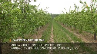 Заморозки в конце мая