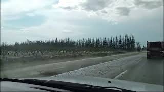 Cayó granizo en General Alvear