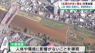 仙台・広瀬川が赤く濁った原因は鉄さび　人体や環境に影響無く年内に取り除く方針