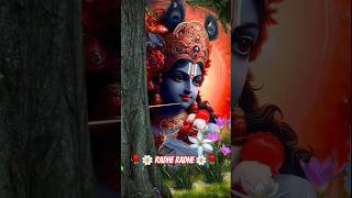 हे मेरे केशव हे मेरे माधव।🌹 Radhekrishna Status ! Shrikrishna Status ! Shyam ! #shorts #youtube