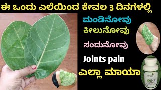 ಈ ಒಂದು ಎಲೆಯಿಂದ ಕೇವಲ ಮೂರೇ ದಿನಗಳಲ್ಲಿ ಮಂಡಿನೋವು|ಕೀಲುನೋವು|ಸಂದುನೋವು|ಜಾಯಿಂಟ್ ಪೈನ್ ಎಲ್ಲಾ ಮಾಯಾ|home remedies