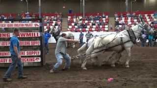 2013 BDHMC Mule Pull winning pull YT