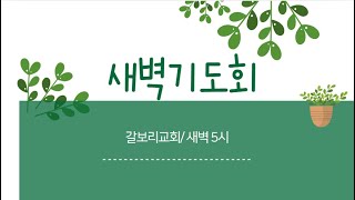 온양 갈보리교회 새벽기도회 3월 4일(화), 누가복음 8:40-56, 매일성경, 최준희 목사